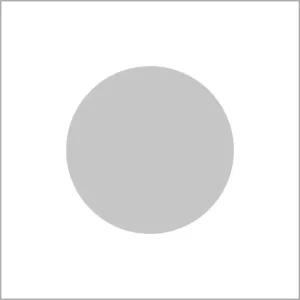 Etiketten – Rond 25mm – transparant – 1000 stuks