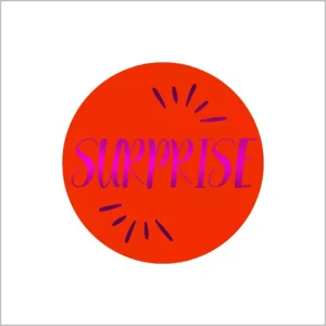Etiketten – Surprise – 250 Stuks