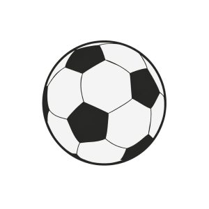 Etiketten – Voetbal – wit-zwart – 250 stuks