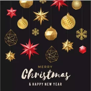Cadeau kaartje – feestdagen – 20 st