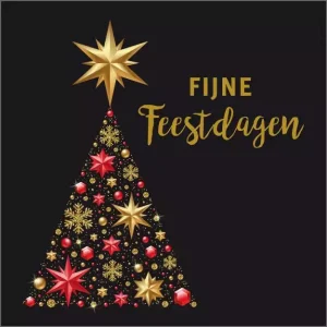 Cadeau kaartje – feestdagen – 20 st