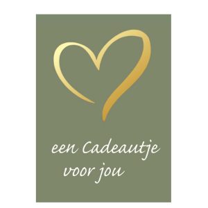 Wenskaart – “een Cadeautje voor jou” – 6 Stuks (incl. Envelop)