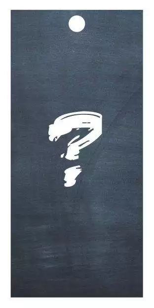 ??? - Afbeelding 2