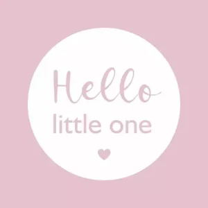Joy wenskaart – hello little one – 6 stuks