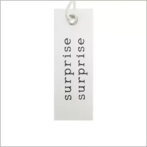 Cadeau label – surprise – 24 stuks