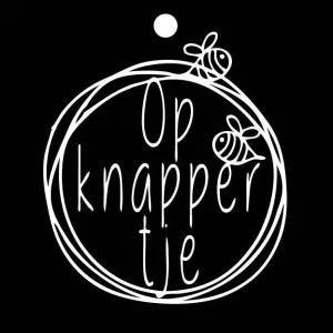 cadeau kaartjes – 20 stuks – Opknappertje