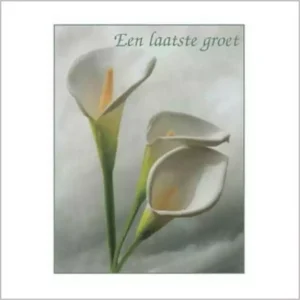 Rouwkaart – Calla dubbele kaart – Laatste groet – 11 x 8,5 cm – 25 stuks