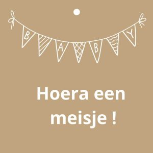 Cadeau kaartjes – 20 stuks – Hoera een meisje