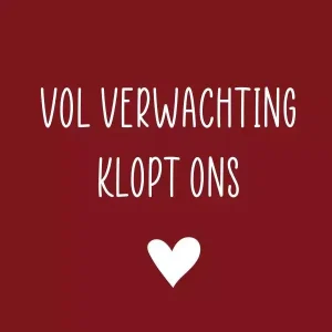 cadeau kaartjes – 20 stuks – Vol verwachting..
