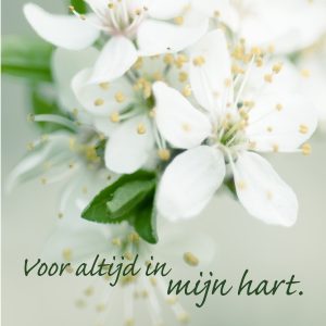 Rouwkaart – “Voor altijd in mijn hart.” – 20 Stuks